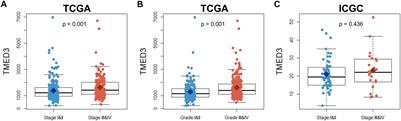 Prognostic Role of TMED3 in Clear Cell Renal Cell Carcinoma: A Retrospective Multi-Cohort Analysis